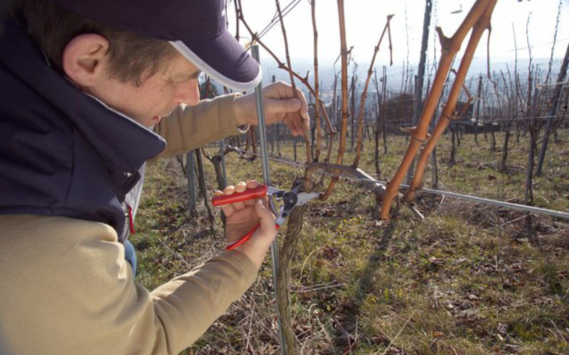 Travail en suisse et activité secondaire